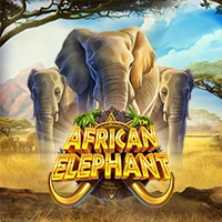 AFRICAN ELEPHANT